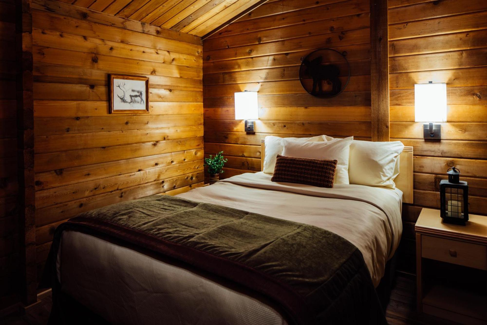 Denali Cabins Denali Park Esterno foto