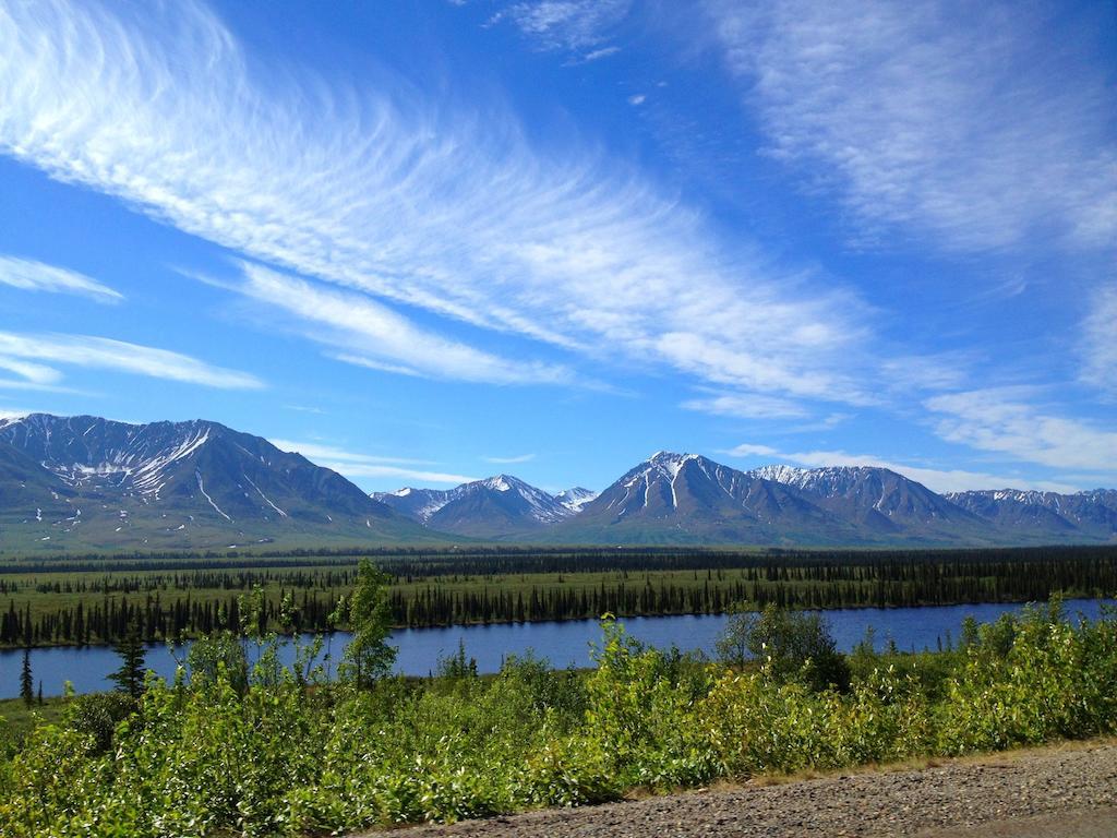 Denali Cabins Denali Park Esterno foto