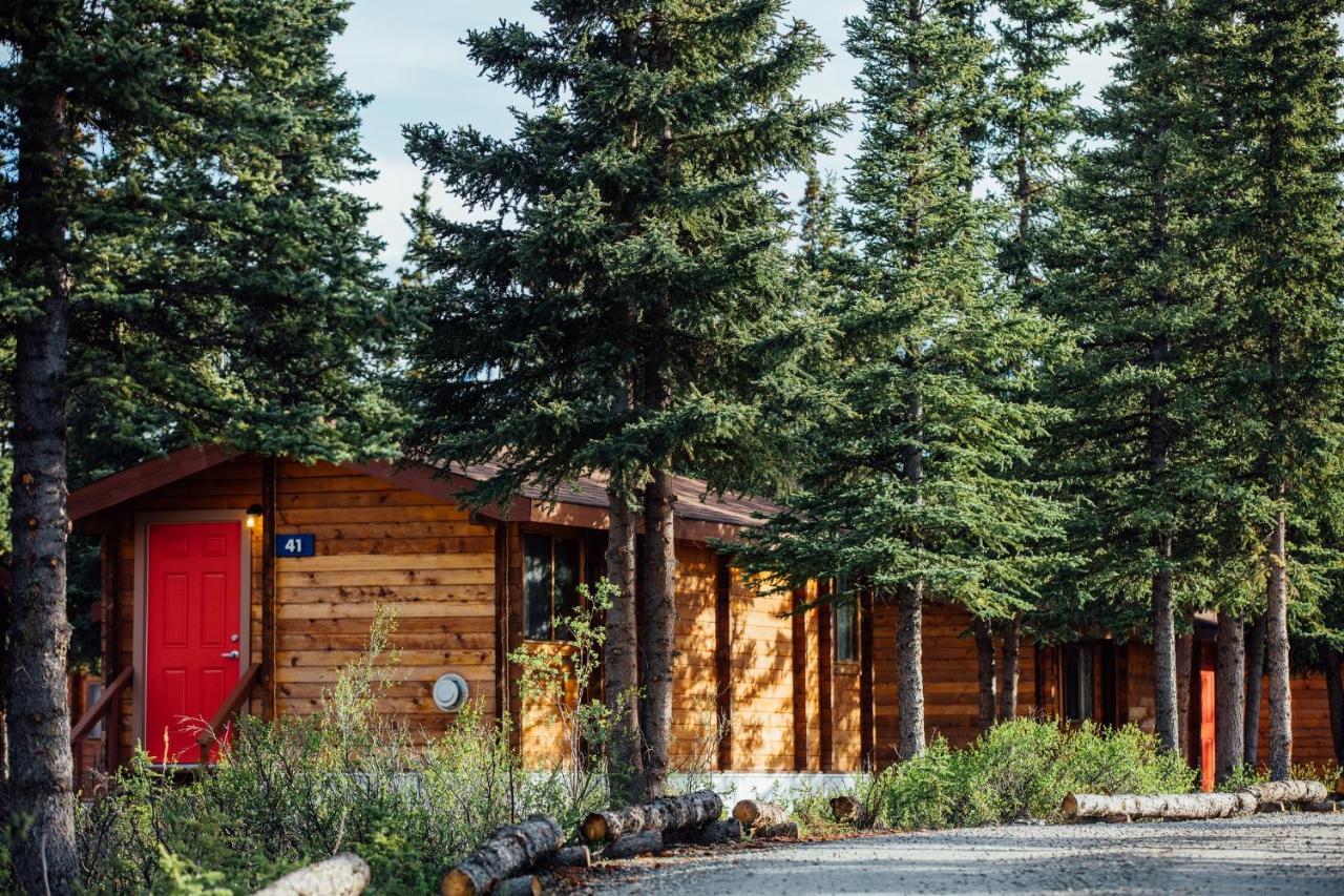 Denali Cabins Denali Park Esterno foto
