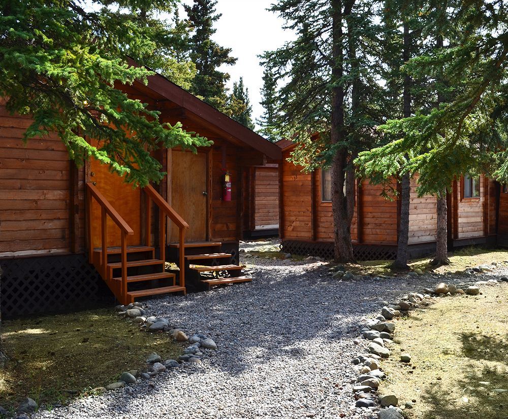 Denali Cabins Denali Park Esterno foto