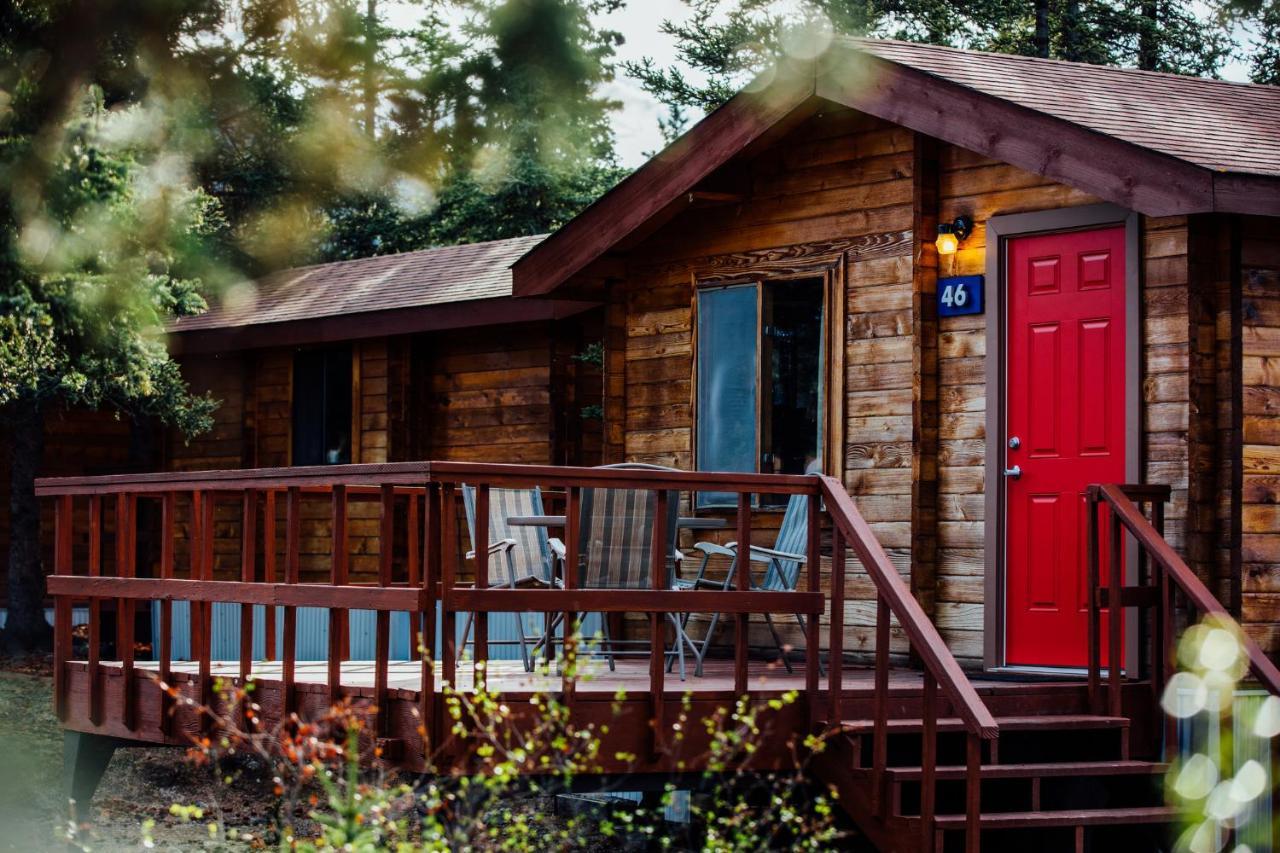 Denali Cabins Denali Park Esterno foto
